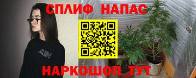 jwh Кимры