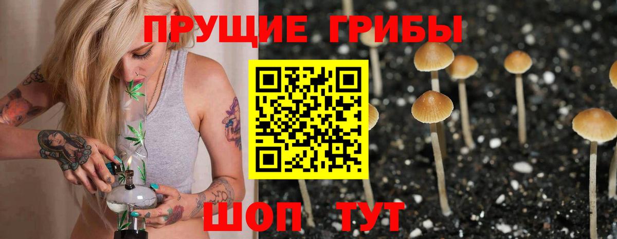 Псилоцибиновые грибы прущие грибы Кувандык
